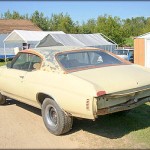 trev 72 chevelle-1